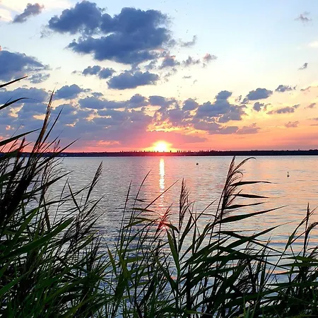 Goitzschezeit Daire *