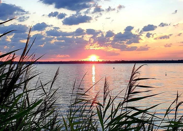 Goitzschezeit Daire *