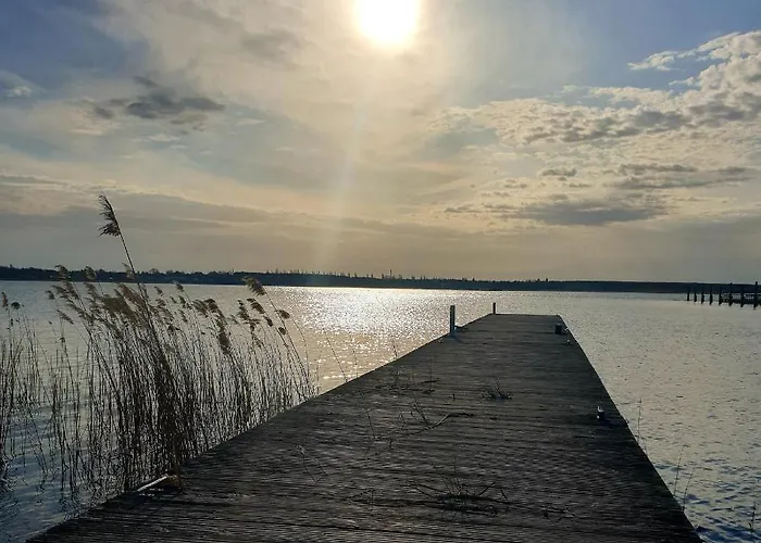 Daire Goitzschezeit *