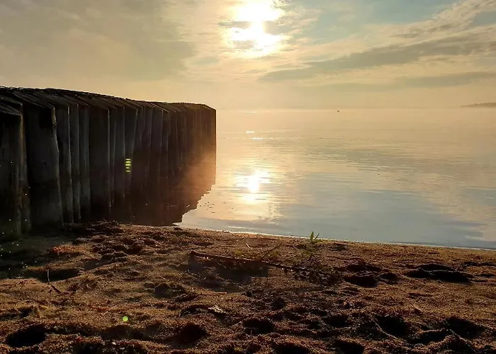 Apartmán Goitzschezeit